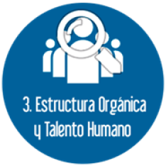 Estructura organica y talento humano